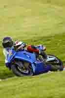 Evening_Low_Mid_Group